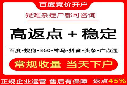 百度竞价广告投放全解析：成功案例揭秘